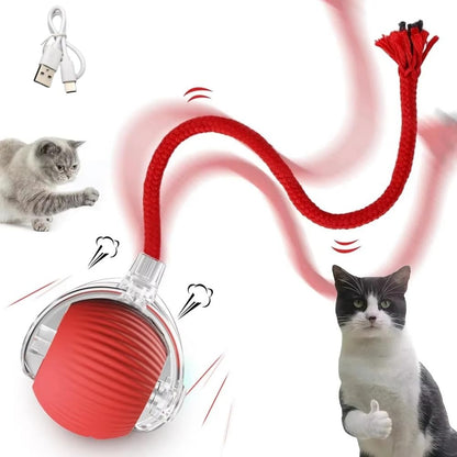 Smart Rolling Pet Ball