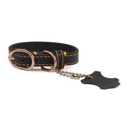 Classic Leather Dog Collar with Hangtag